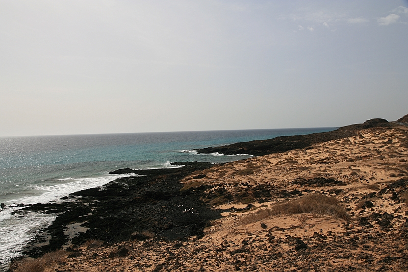 Kanary_2010 064